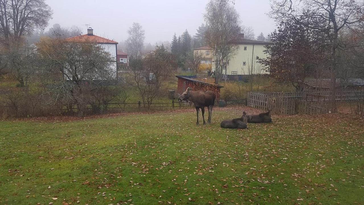 Trevligt Hus Med Egen Gard Och Fri Wifi, Emmaboda Kommun, Lindas מראה חיצוני תמונה
