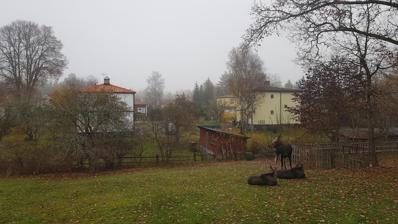 Trevligt Hus Med Egen Gard Och Fri Wifi, Emmaboda Kommun, Lindas מראה חיצוני תמונה